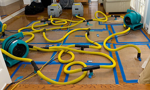 Professional Crawl Space Water Removal technician working in Thompson, ND